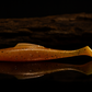 TOP SHELF Slammers Minnow