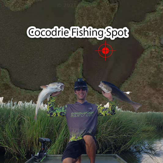 Cocodrie Fishing Spot